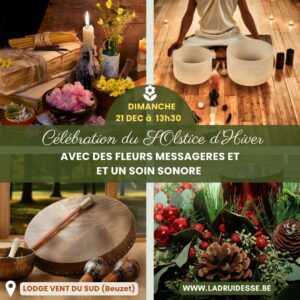 Célébrer le Solstice d'Hiver avec des fleurs messagères et un soin sonore