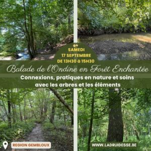 Samedi 19 septembre à 13H30 - Balade de l'Ondine en Forêt Enchantée