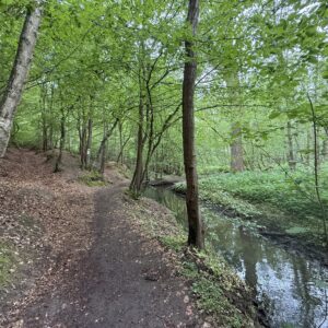 Magie des plantes et de la nature
